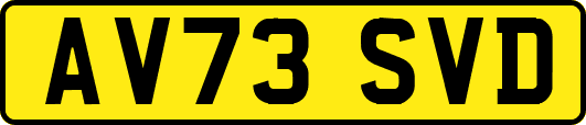 AV73SVD