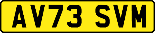 AV73SVM