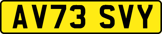 AV73SVY