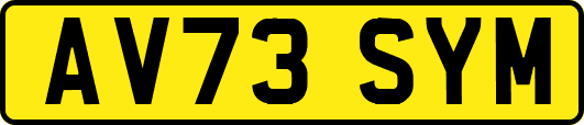 AV73SYM