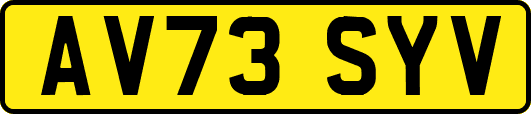 AV73SYV