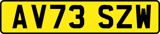 AV73SZW