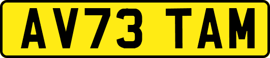 AV73TAM