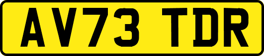 AV73TDR