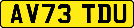 AV73TDU