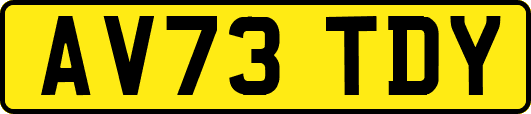 AV73TDY