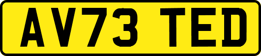AV73TED