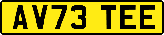 AV73TEE
