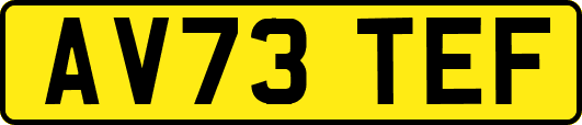 AV73TEF