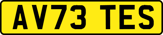 AV73TES
