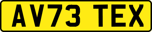AV73TEX