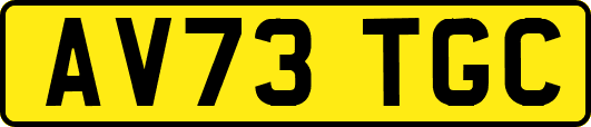 AV73TGC