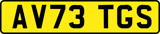AV73TGS