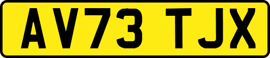 AV73TJX
