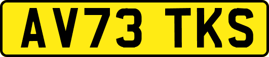 AV73TKS