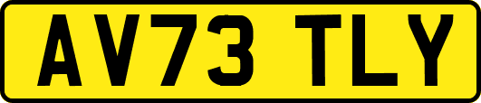 AV73TLY