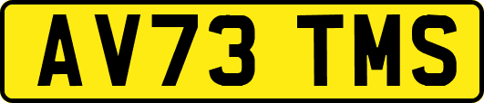 AV73TMS