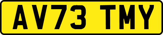 AV73TMY
