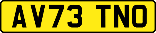 AV73TNO