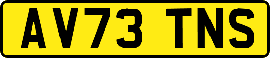 AV73TNS