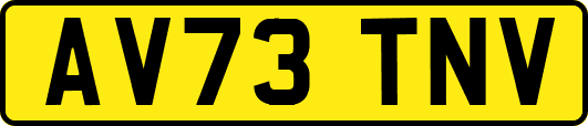 AV73TNV