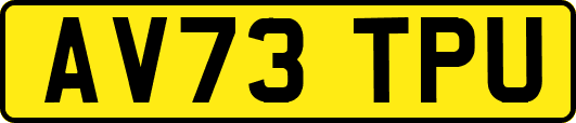 AV73TPU