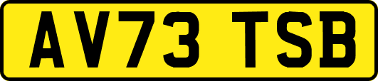 AV73TSB