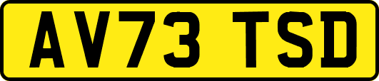 AV73TSD