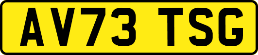 AV73TSG