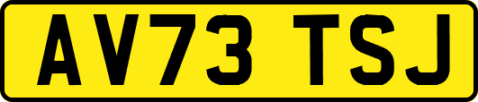 AV73TSJ