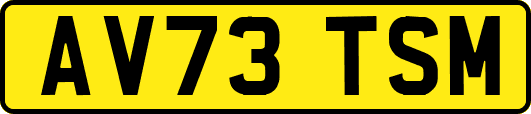 AV73TSM