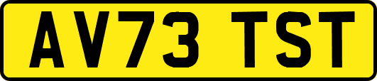 AV73TST
