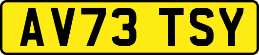 AV73TSY