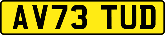 AV73TUD