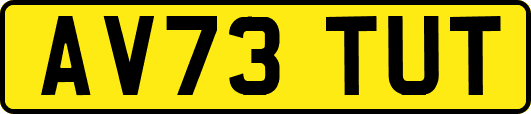 AV73TUT