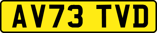 AV73TVD