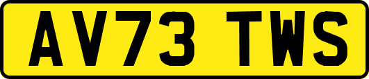 AV73TWS