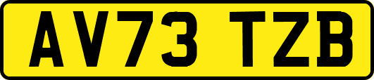 AV73TZB