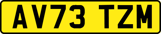 AV73TZM