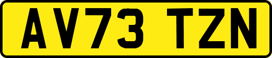 AV73TZN