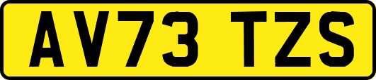 AV73TZS
