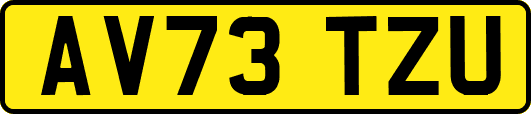 AV73TZU