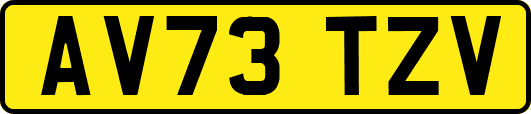AV73TZV