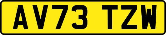 AV73TZW