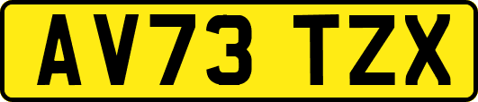 AV73TZX