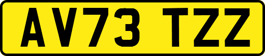 AV73TZZ
