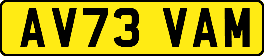 AV73VAM