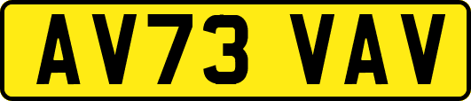 AV73VAV