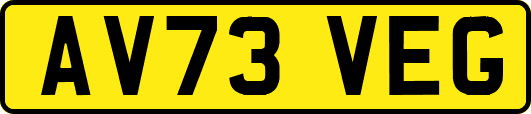 AV73VEG
