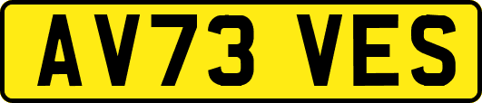 AV73VES